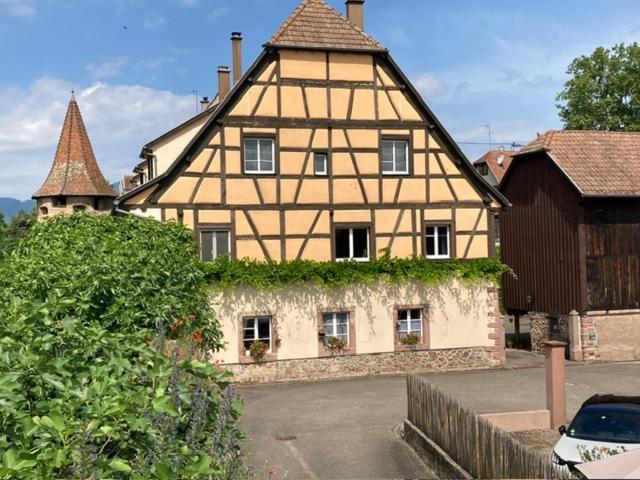Joli Gite 2 Personnes En Alsace Guémar Extérieur photo