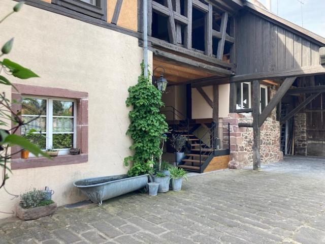 Joli Gite 2 Personnes En Alsace Guémar Extérieur photo